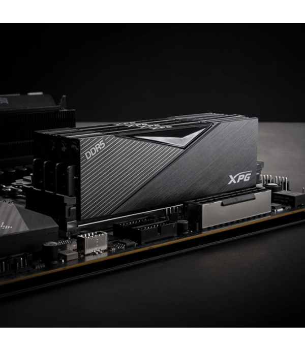 ADATA RAM - AX5U5600C3632G-CLABK