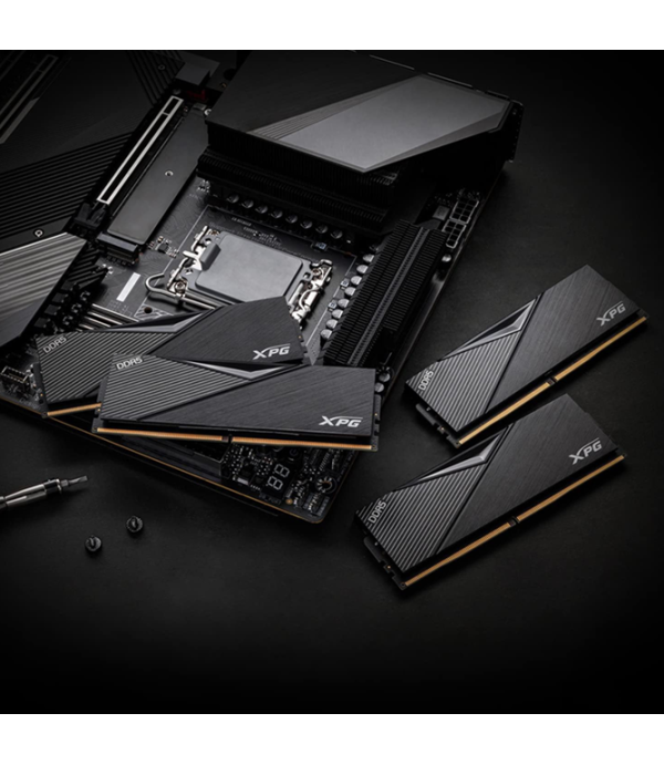 ADATA RAM - AX5U5600C3632G-CLABK