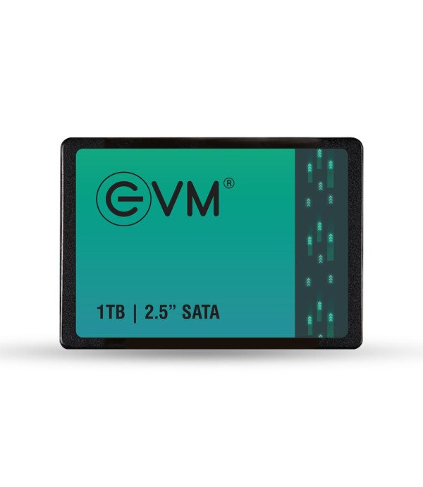 EVM HARDDISK SSD 1TB