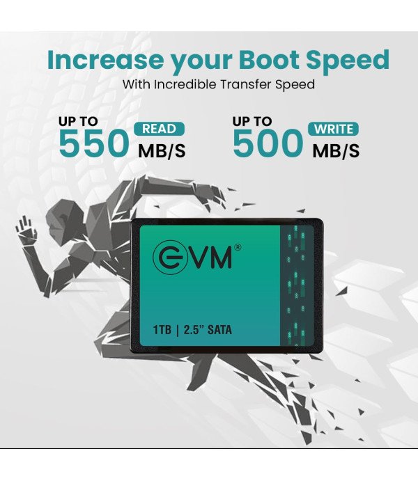 EVM HARDDISK SSD 1TB