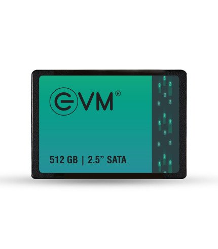 EVM HARDDISK SSD 512GB