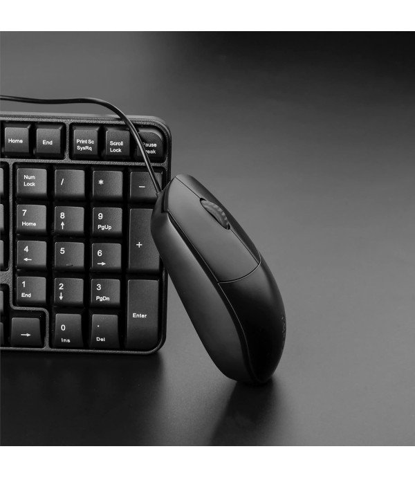 RAPOO WIRED MOUSE N100