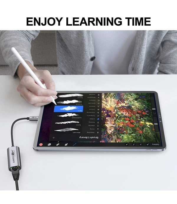 AMEGON USB-C TO LAN PORT AM05A