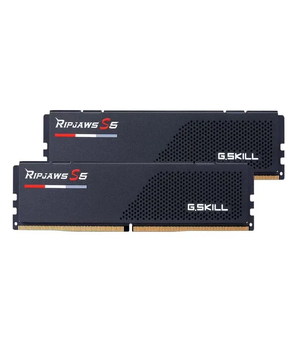 GSKILL RAM F5-6000J3636F16GX2-RS5K