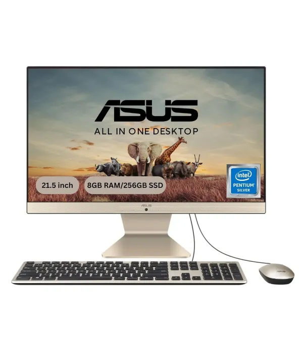 ASUS AIO DESKTOP V222GAK-BA034W