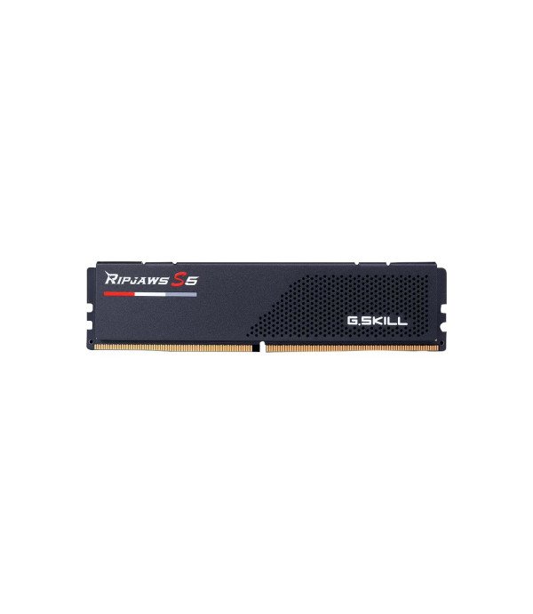 GSKILL RAM F5-5200J4040A16GX1-RS5K-16GB5200MHZ S5CL