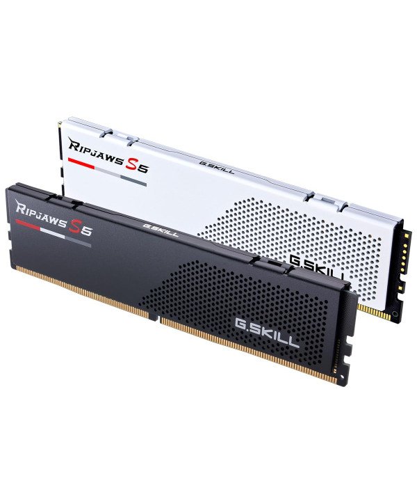 GSKILL RAM F5-5200J4040A16GX1-RS5K-16GB5200MHZ S5CL