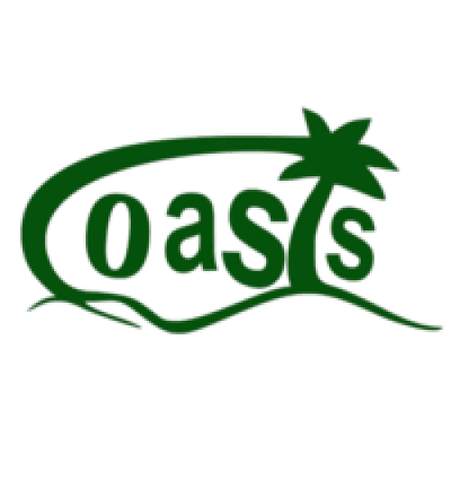 Oasis IT Store